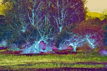 L 050A